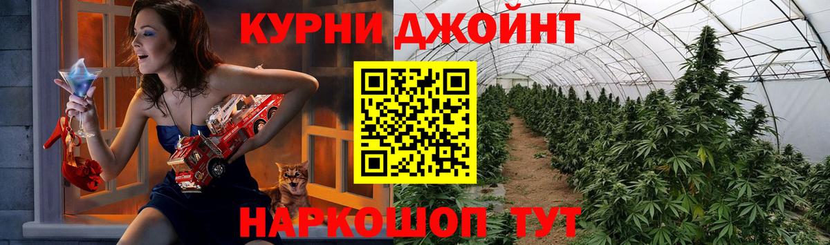 Бошки марихуана план Сарапул